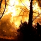 Stalowa Wola: Rozwadów: Pożar drewnianej altany