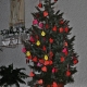 Stalowa Wola: Bożonarodzeniowe drzewko Michalitów spełnia życzenia