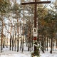Stalowa Wola: Radni chcą zalegalizować krzyż na Młodyniu; Pędlowski nałożył grzywnę