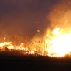 Stalowa Wola: Płonie kilkanaście hektarów łąk