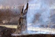 Obraz stalowowolskich błoni za oczyszczalnią ścieków wygląda jak po wojnie. Spaleniu uległo siedem hektarów ziemi oraz kilka topól.
