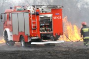 Po zlokalizowaniu pożaru okazało się, że palą się lasy, głównie poszycie leśne na terenie poligonu wojskowego w pasie, pomiędzy miejscowością Irena a Radomyśl nad Sanem.