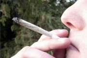 Według danych Prokuratury Rejonowej w Stalowej Woli, tylko od września zarejestrowano tu 17 spraw dotyczących ustawy o przeciwdziałaniu narkomani oraz trzy sprawy o udzielenie lub posiadanie narkotyków.