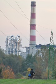Elektrownia Stalowa Wola zyskała instalację na biomasę. Do 2015 roku Tauron zamierza wybudować drugą.