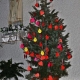 Stalowa Wola: Drzewko bożonarodzeniowe u Michalitów wypełnia się życzeniami
