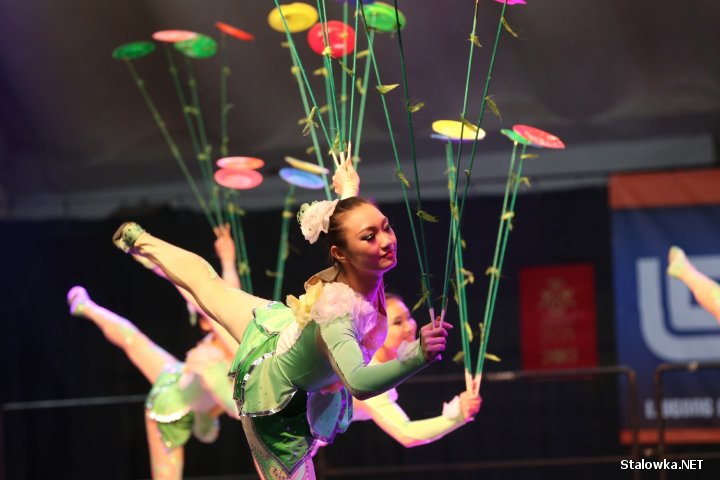 Jubileusz LiuGong Machinery Poland w Stalowej Woli.