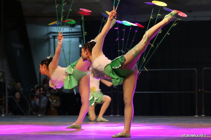 Jubileusz LiuGong Machinery Poland w Stalowej Woli.