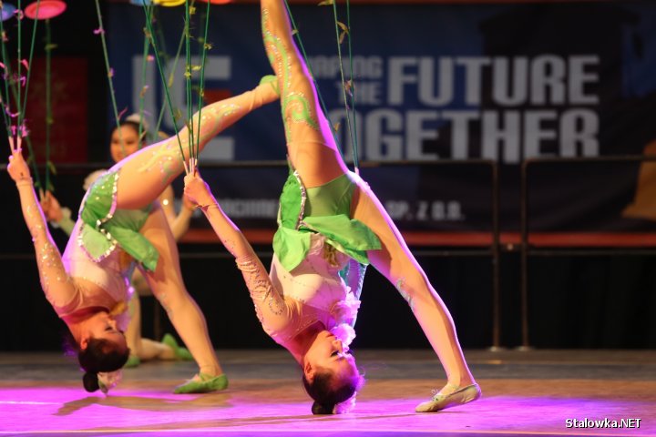 Jubileusz LiuGong Machinery Poland w Stalowej Woli.