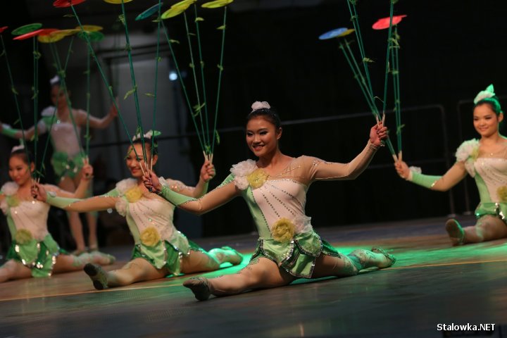 Jubileusz LiuGong Machinery Poland w Stalowej Woli.