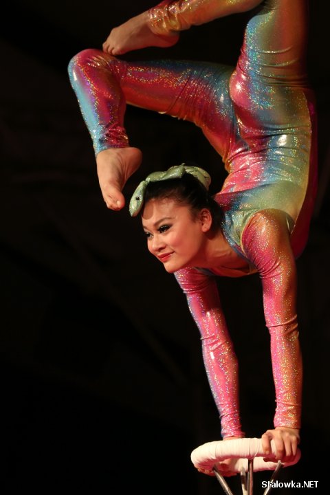 Jubileusz LiuGong Machinery Poland w Stalowej Woli.