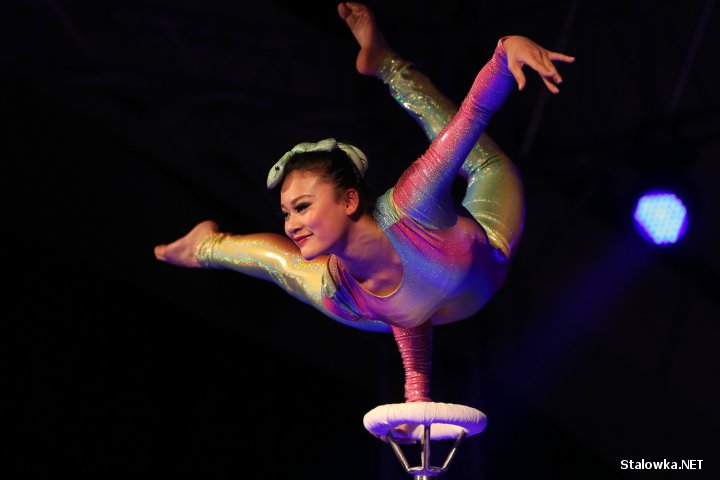 Jubileusz LiuGong Machinery Poland w Stalowej Woli.