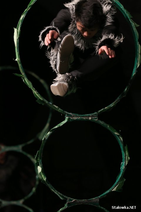 Jubileusz LiuGong Machinery Poland w Stalowej Woli.