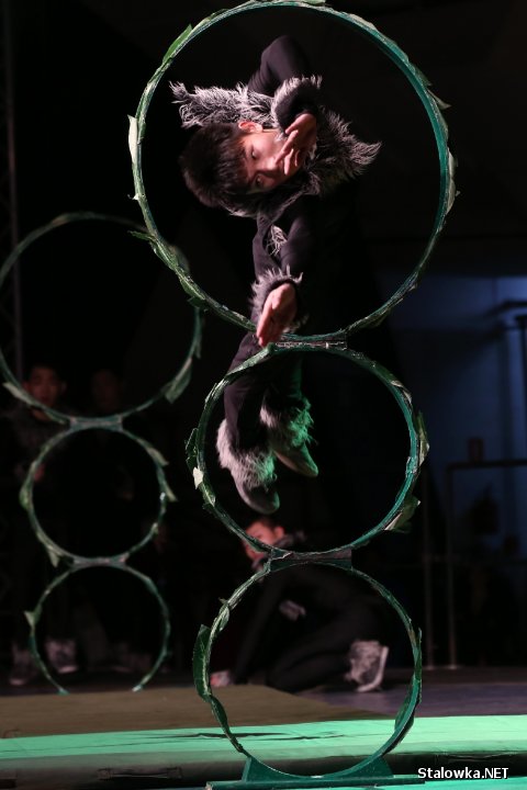 Jubileusz LiuGong Machinery Poland w Stalowej Woli.