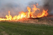 Spaliło się około 2 hektarów traw i zarośli między Stalową Wolą a Pysznicą.
