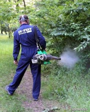 W tym roku walka z komarami w Stalowej Woli ropzocznie się po 20 maja.