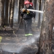 Stalowa Wola: Pożar lasu w Pysznicy