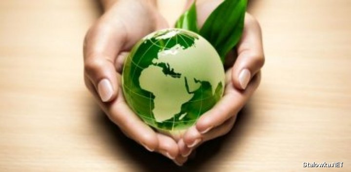 Organizatorem spotkania jest European Business Club, Inkubator Technologiczny i ConVoco Sp. z o.o. we współpracy z projektem Bioenergy Promotion II. 