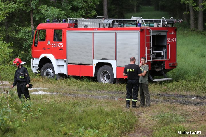 Pożar młodnika w miejscowości Lipa w Powiecie Stalowowolskim.