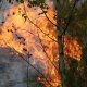 Stalowa Wola: Liczne pożary na terenie powiatu stalowowolskiego. Trzeci stopień zagrożenia pożarowego
