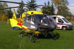 Miejsce lądowania śmigłowca LPR zabezpieczali strażacy z OSP Zaklików. Pacjent w ciężkim stanie trafił do szpitala w Lublinie.