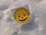 29 listopada rusza stalowowolska akcja Pomóż Dzieciom Przetrwać Zimę.