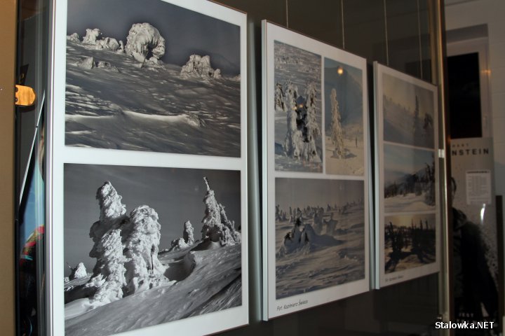Na wystawę składają się fotografie członków Animusa, ukazujące zimowe piękno jednej chyba z najmniej ulubionych pór roku.