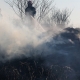 Stalowa Wola: Na błoniach spaliło się już 10 hektarów traw