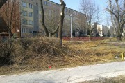 Od kilku tygodni Spółdzielnia Mieszkaniowa w Stalowej Woli prowadzi wycinkę drzew.