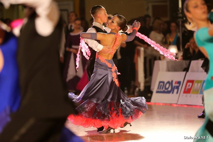 VII Ogólnopolski Turniej Tańca Towarzyskiego Dance Show 2014 w Stalowej Woli.