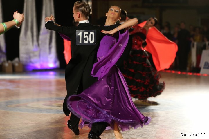 VII Ogólnopolski Turniej Tańca Towarzyskiego Dance Show 2014 w Stalowej Woli.