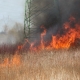Stalowa Wola: Kolejny duży pożar nieużytków na błoniach