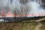 Po godzinnej akcji pożar ugaszono. Spaleniu uległo 4 hektary nieużytków.