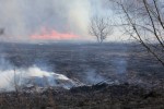 Po godzinnej akcji pożar ugaszono. Spaleniu uległo 4 hektary nieużytków.