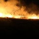 Stalowa Wola: Podpalacze traw wyjątkowo aktywni. Pożar strawił błonia w Pysznicy