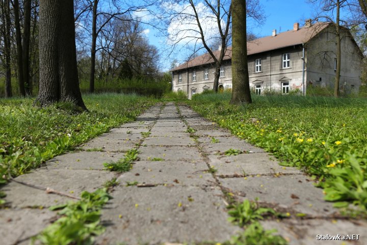 Park Lubomirskich w Charzewicach.