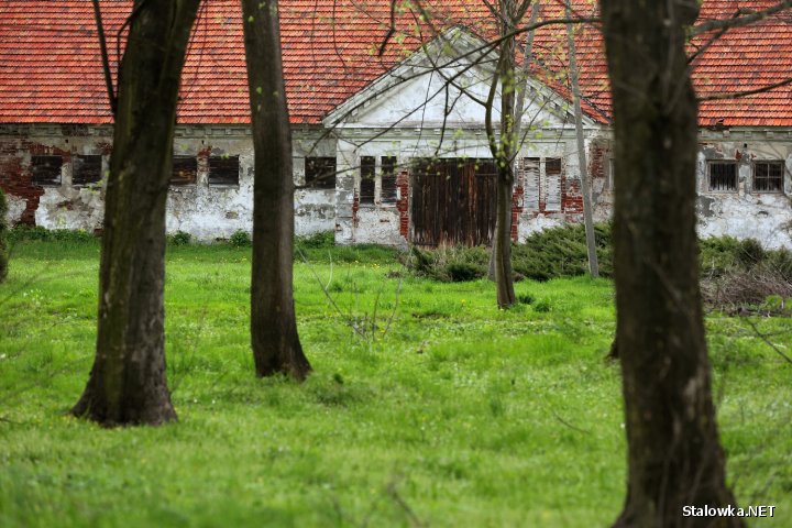 Park Lubomirskich w Charzewicach.