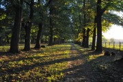 PKE Przyjaciele Ziemi w Stalowej Woli chce stworzyć w charzewickim parku ścieżkę ekologiczno-dydaktyczną.