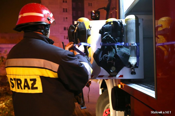 We wszystkich przypadkach przyczyną pożaru było podpalenie. Policja prowadzi szeroko zakrojone czynności w ustaleniu sprawcy.