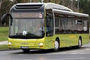W kwietniu 2014 roku pasażerowie korzystający z usług Zakładu Miejskiej Komunikacji Samochodowej mieli okazję podróżować zielonym autobusem marki MAN o napędzie hybrydowym.