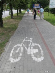 Leśna ścieżka rowerowa w kierunku Jamnicy nie będzie wyłożona kostką betonową ani asfaltowa jak w mieście, ale gruntowa i utwardzona.