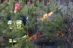 Na miejsce przyjechała straż leśna oraz policja. Ustalono, że były cztery źródła pożaru a przyczyną popalenie.