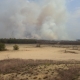 Stalowa Wola: Potężny pożar lasu w Radomyślu nad Sanem. Płonie 500 hektarów!