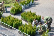 Starostwo Powiatowe w Stalowej Woli rozdało 7,5 tysiąca sadzonek za makulaturę.