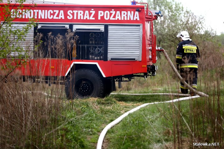 Bojanów: pożar udało się opanować dzięki współdziałaniu służb ratunkowych.