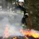Stalowa Wola: Pożar lasu w Bojanowie
