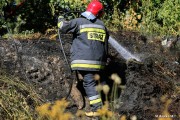 Radny miejski Marek Zaremba zwrócił uwagę na bałagan jaki panuje na nadsańskich błoniach, zwłaszcza w okolicach oczyszczalni ścieków. Zwożone gałęzie są często podpalane, przez co musi interweniować straż pożarna.