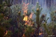 Jak dowiedział się portal Stalowka.NET od początku lipca 2015 roku w lasach należących do Nadleśnictwa Rozwadów obowiązuje trzeci, najwyższy stopień zagrożenia pożarowego.