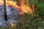 Pożar objął prawie 5 hektarów lasu. Ogień został zauważony z wieży pożarowej.