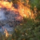 Stalowa Wola: Wielka akcja straży pożarnej. Na Kochanach spłonęło 5 hektarów lasu