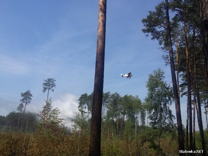 Do pożaru doszło na terenie leśnictwa Budy, które należą do nadleśnictwa Gościeradów. Na miejsce zadysponowano dwa wozy bojowe z OSP Zaklików oraz jeden z OSP Lipa jak również dwa dromadery z lotniska w Mielcu i Radawcu.